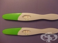 ��� 40 �� ��� �� ���������� �������, �� ����� �� ����������� ����� ������� �� ��������